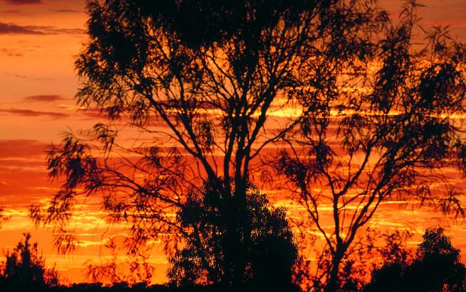 Northern Territory Sunset - Photo Courtesy of Northern Territory Tourist Commission